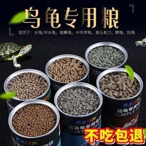 豬鼻龜2020價(jià)格：2020年豬鼻龜價(jià)格