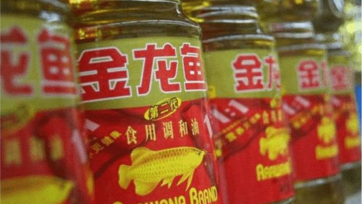 大湖紅龍魚好嗎怎么養活（大湖紅龍魚的飼養）
