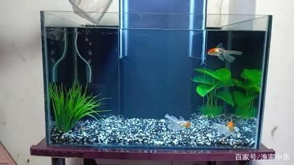 負壓魚缸的制作方法有哪些，負壓魚缸維護技巧 負壓魚缸的制作方法有哪些，負壓魚缸維護技巧 魚缸百科 第7張