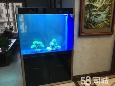 四紋虎魚幼魚活餌消毒方法，四紋虎魚幼魚活餌消毒方法高錳酸鉀消毒對魚的影響