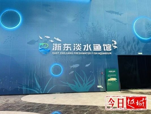 水族館開業做什么活動好：水族館開業優惠策略有哪些案例，水族館互動環節設計技巧