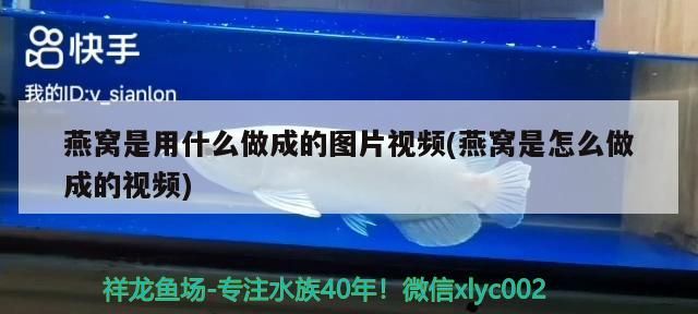 魚缸保溫貼有用嗎（魚缸pu背景板有毒嗎）