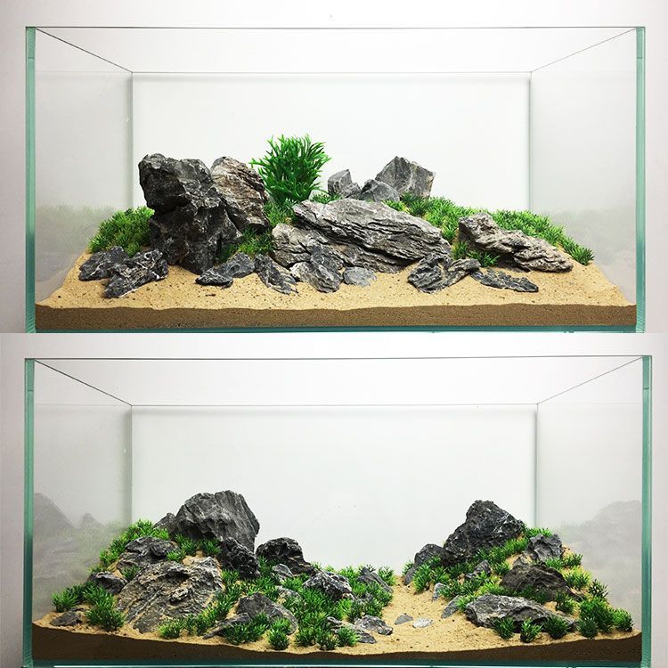 龍魚缸寬50cm行不行，龍魚缸尺寸與龍魚品種關(guān)系，