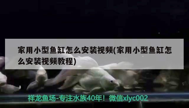 魚缸怎么虹吸排水的(魚缸怎么虹吸排水的圖片)