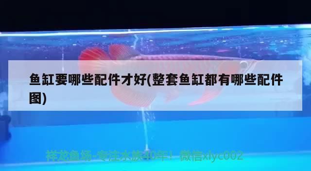 魚缸要哪些配件才好(整套魚缸都有哪些配件圖)