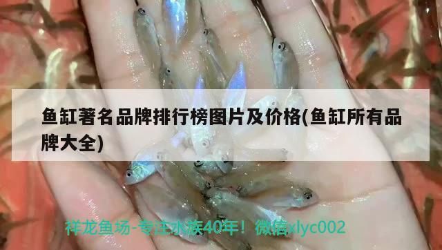 魚缸著名品牌排行榜圖片及價格(魚缸所有品牌大全)
