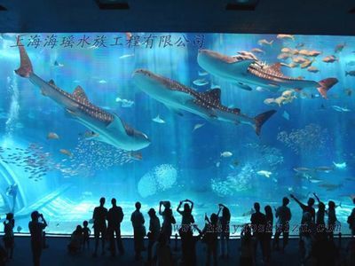 水族館建造（關于水族館建設的詳細信息）