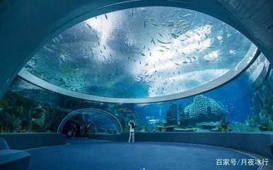 水族館建造（關于水族館建設的詳細信息）