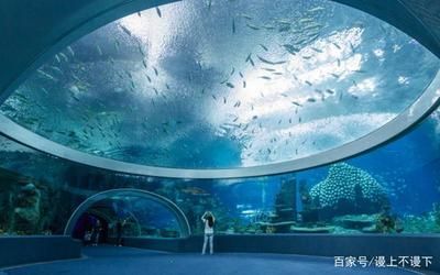 水族館在哪里？（南京水族館特色展覽介紹阿布扎比國家水族館互動體驗）