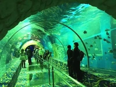 水族館在哪里？（南京水族館特色展覽介紹阿布扎比國家水族館互動體驗）