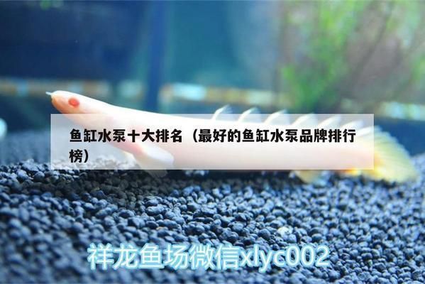 比較好的魚缸水泵排名第一，森森水泵性價比分析