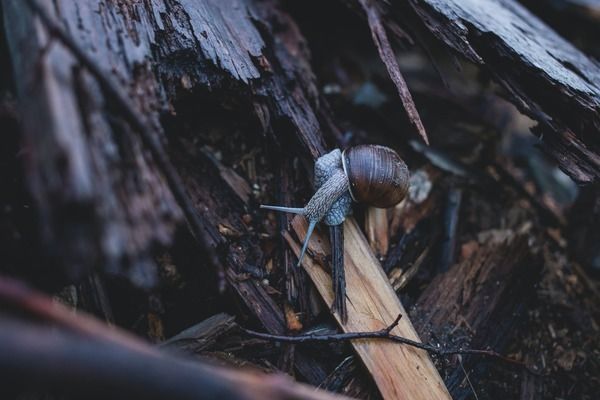 佳寶魚缸配件專賣店：佳寶魚缸配件專賣店提供一系列專業且高質量的魚缸配件