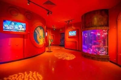 祥龍水族館品牌影響力（如何進一步提升祥龍水族館的品牌影響力）