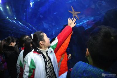 在水族館工作學什么專業（動物醫學在水族館工作需要具備多種技能，包括生物學、動物行為學）