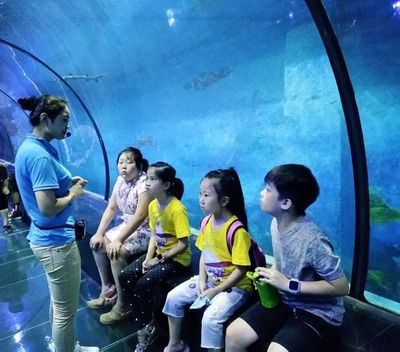 在水族館工作學什么專業（動物醫學在水族館工作需要具備多種技能，包括生物學、動物行為學）