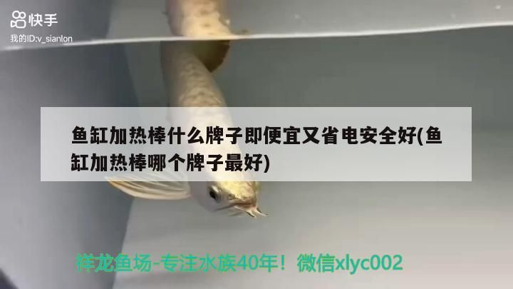 魚缸加熱棒什么牌子即便宜又省電安全好(魚缸加熱棒哪個(gè)牌子最好)