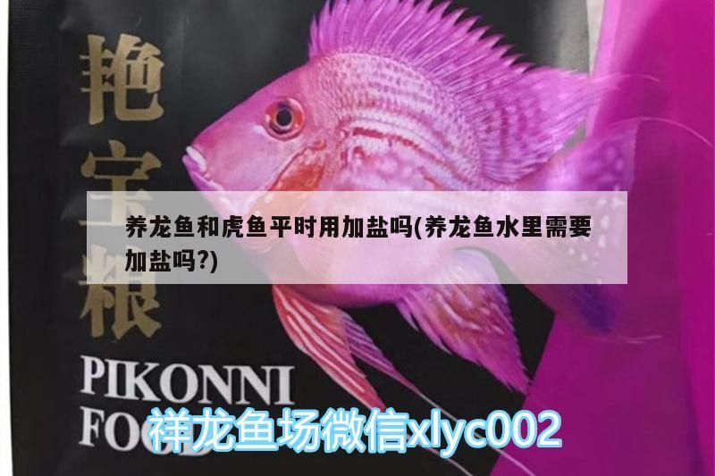 養龍魚和虎魚平時用加鹽嗎(養龍魚水里需要加鹽嗎?)