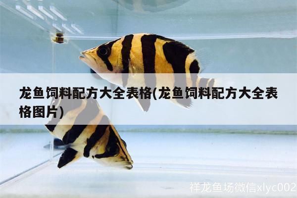 一條龍魚配五條虎魚有說法嗎(一條龍魚配五條虎魚有說法嗎圖片)