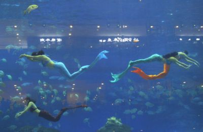 開個水族館要辦什么執照（開水族館需辦理哪些證件）