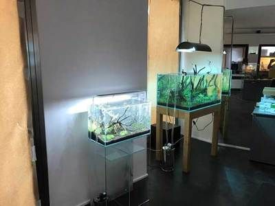 水族館加盟店賺錢嗎知乎（水族館加盟水族館加盟店具有可降低風險和培訓風險和培訓）