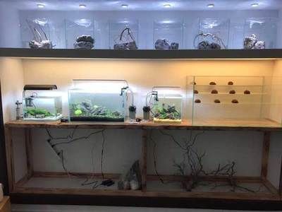 水族館加盟店賺錢嗎知乎（水族館加盟水族館加盟店具有可降低風險和培訓風險和培訓）