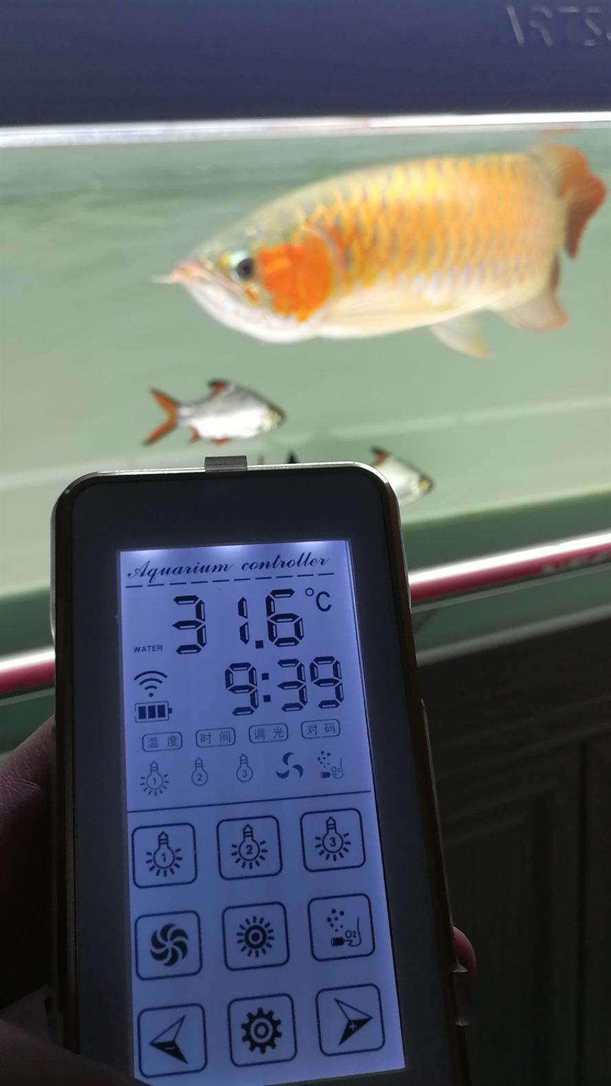 那曲水族館高溫哈哈哈