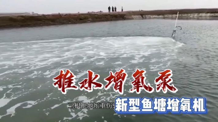 金龍魚官方鑒定真假方法圖解(金龍魚防偽)