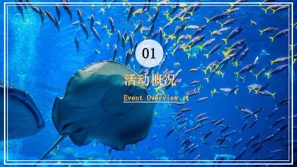 水族館開業活動方案策劃（水族館開業活動策劃）