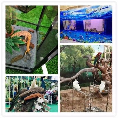 水族館開業活動方案策劃（水族館開業活動策劃）