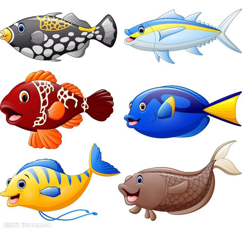 你家的魚會睡覺嗎? 黃金貓魚百科 第5張 你家的魚會睡覺嗎? 你家的魚會睡覺嗎? 黃金貓魚百科 第5張