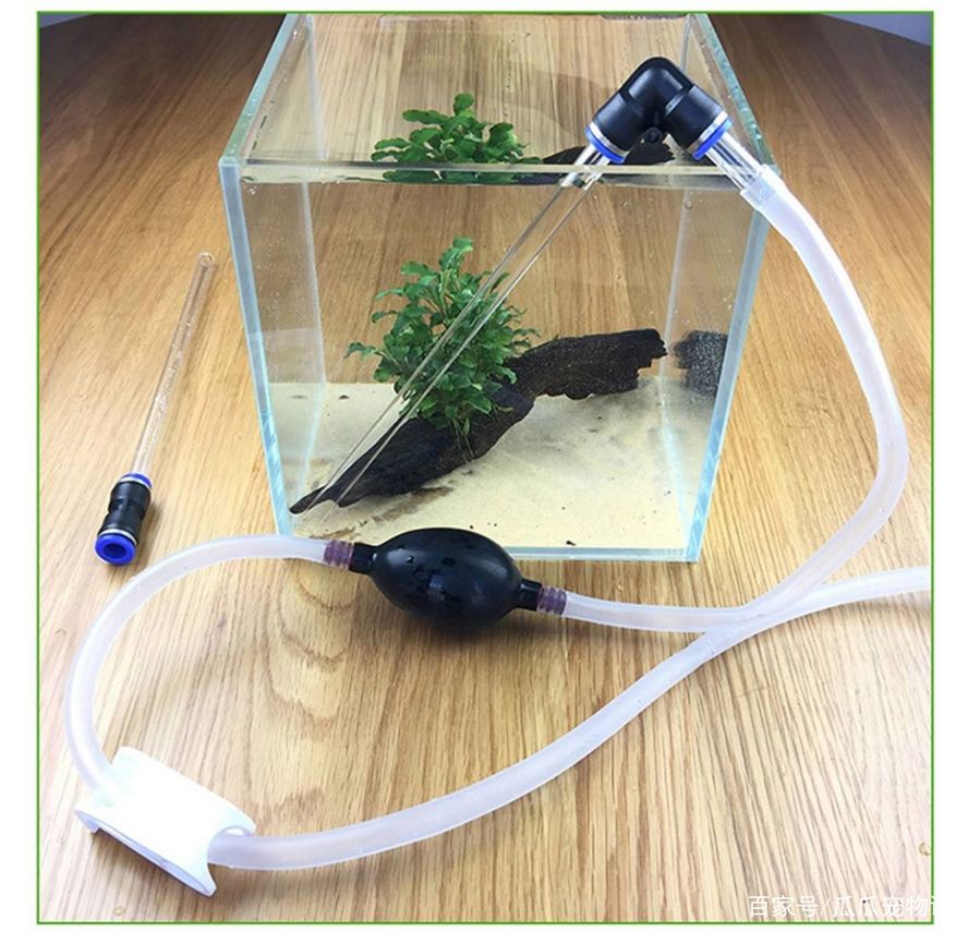 魚缸過濾器可以增加氧氣嗎，如何選擇適合的魚缸過濾器？