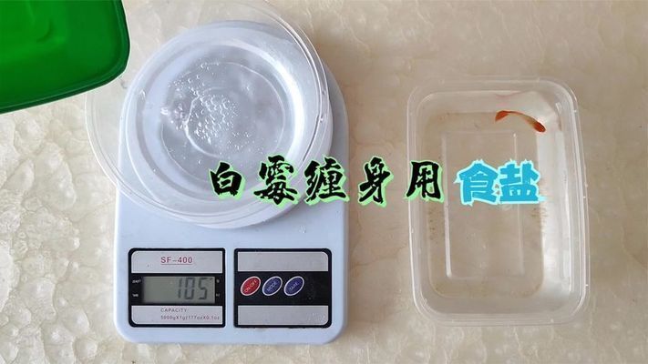 魟魚拉的白色絮狀物：關于魟魚拉出的白色絮狀物根據搜索結果