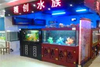 水族館加盟找祥龍魚(yú)場(chǎng)可以嗎（祥龍魚(yú)場(chǎng)加盟店選址技巧祥龍魚(yú)場(chǎng)加盟店選址技巧）