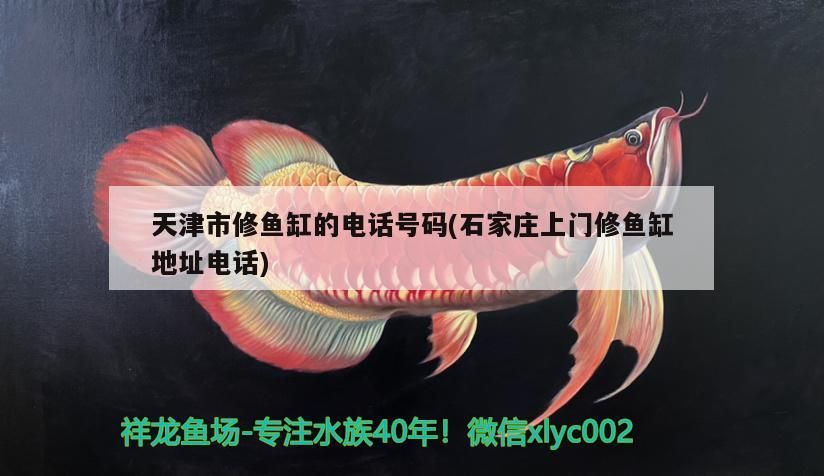 天津市修魚(yú)缸的電話號(hào)碼(石家莊上門修魚(yú)缸地址電話)