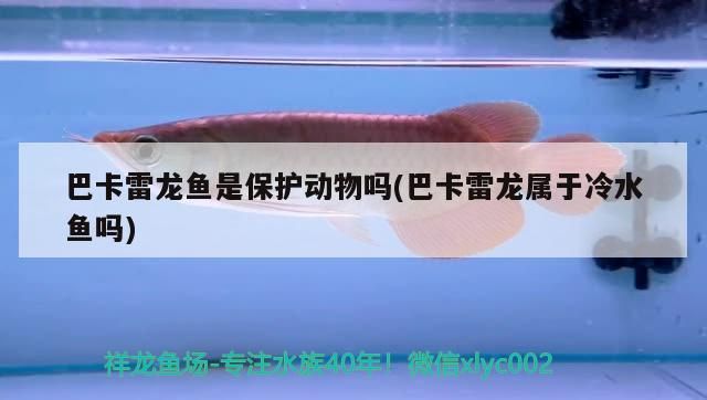 章丘哪里有定制魚缸的地方（新房大門正對廁所門怎么）
