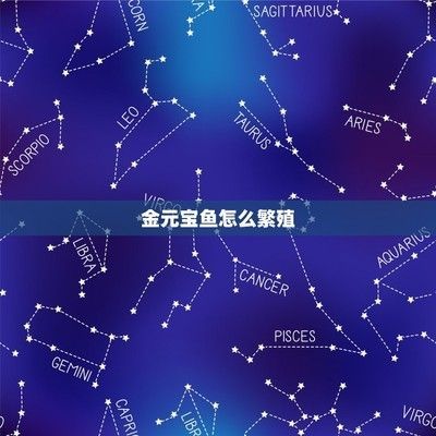 元寶鳳凰魚的繁殖方法（元寶鳳凰魚的繁殖方法包括以下幾個步驟和注意事項）