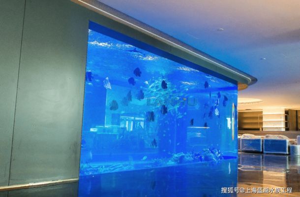 水族館魚缸定制（水族館魚缸定制是針對特定需求和空間進行個性化服務）