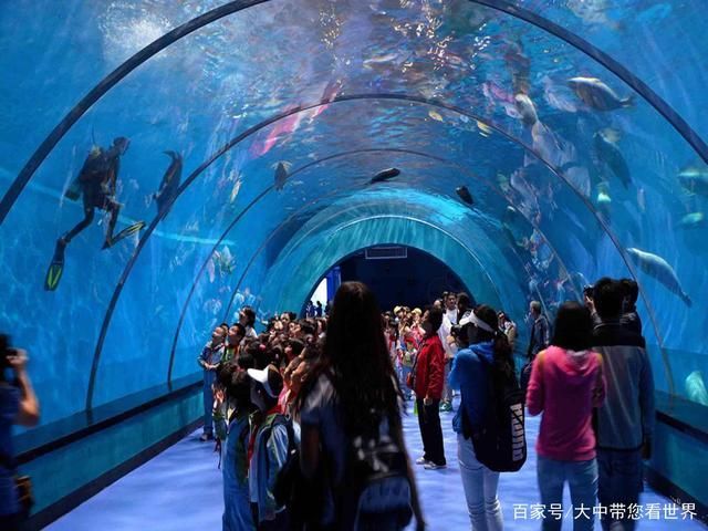 水族館屬于什么行業(yè)（2021-2026年中國水族館行業(yè)投資回報率分析）