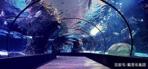 水族館屬于什么行業（2021-2026年中國水族館行業投資回報率分析）