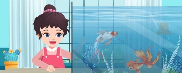 魚缸前十名品牌大全，2024年魚缸前十名品牌
