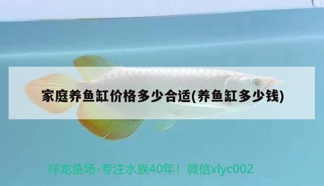 家庭養魚缸價格多少合適(養魚缸多少錢)