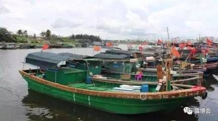 海南觀賞魚碼頭有哪些品種（關于海南觀賞魚碼頭的問題）