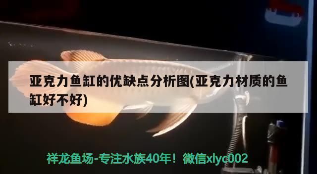 亞克力魚缸的優缺點分析圖(亞克力材質的魚缸好不好)