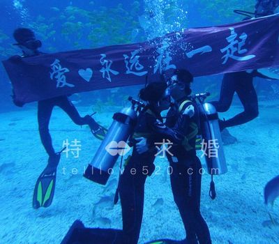 龍魚胡須彎曲怎么辦，龍魚胡須彎曲影響觀賞嗎？