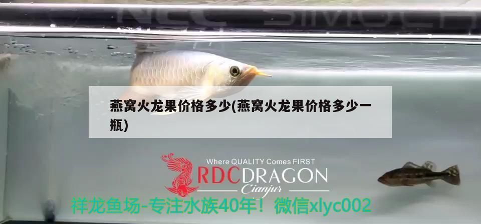 內江魚缸批發(fā)電話號碼查詢網(wǎng)（ 內江魚缸批發(fā)電話號碼查詢網(wǎng)）