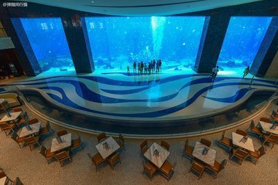 投資一家水族館需要多少錢（開一家水族館的成本是多少？）