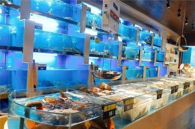 投資一家水族館需要多少錢（開一家水族館的成本是多少？）