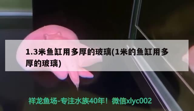 1.3米魚缸用多厚的玻璃(1米的魚缸用多厚的玻璃)