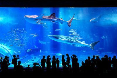 水族館品牌（水族館品牌建設(shè)）