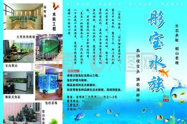 水族館品牌（水族館品牌建設(shè)）